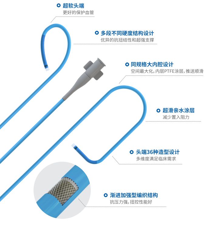 image007.png image007.png